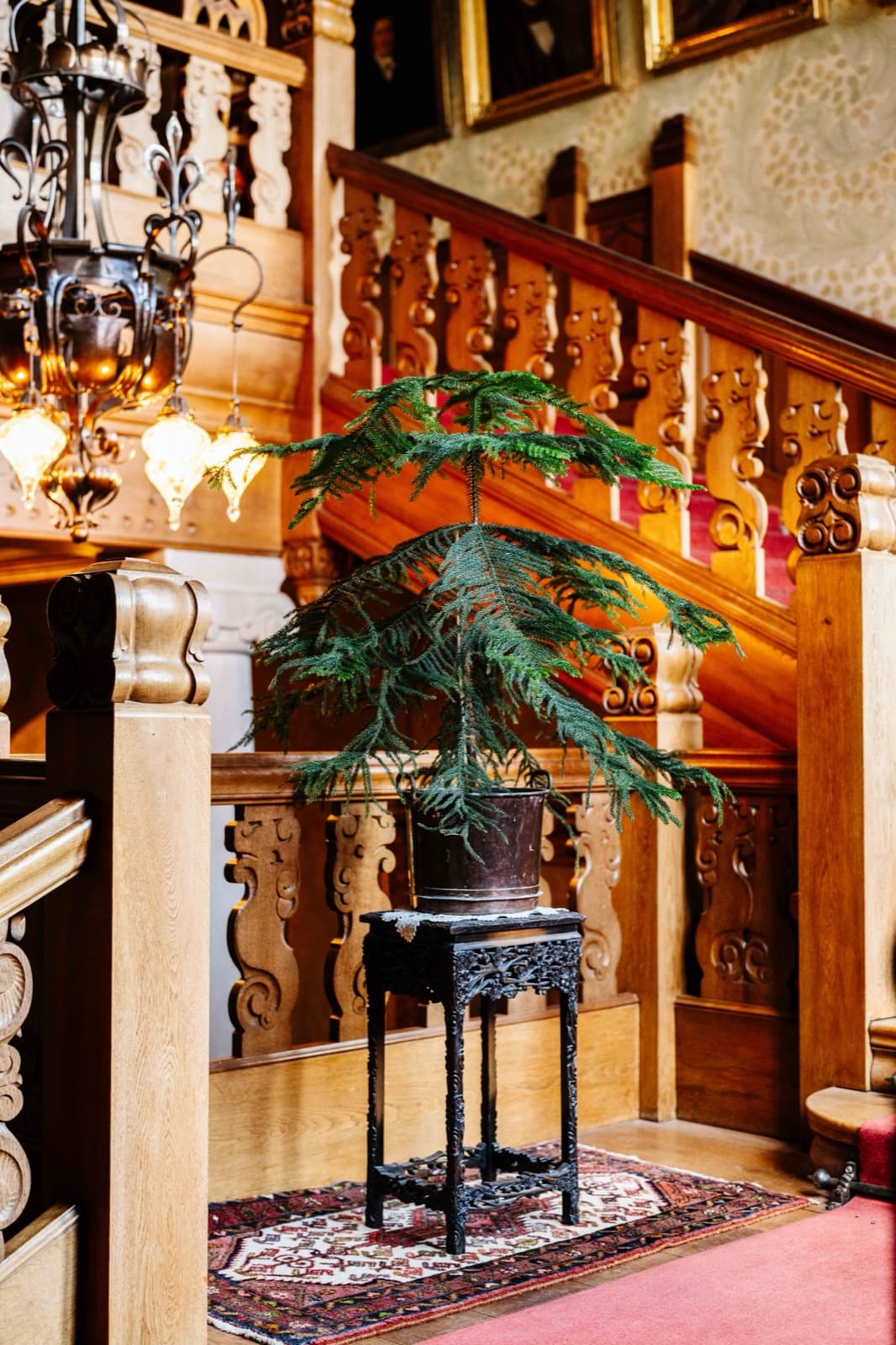The carved oak staircase inside Tjolöholm Castle, with a brass lamp and a potted araucaria