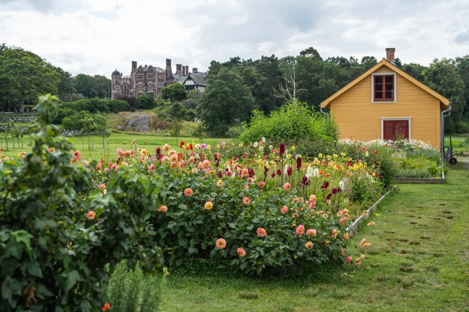 Tjolöholm's kitchen garden in July — dahlia beds in front of the yellow gardener's house, the castle silhouette behind